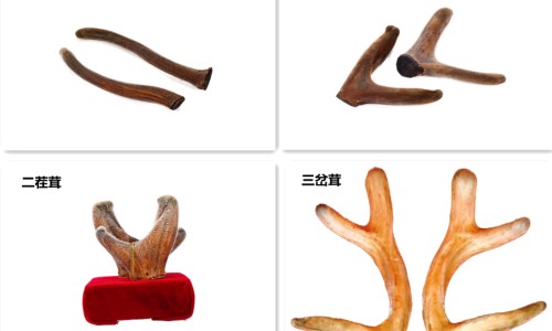 桂林三金胶囊-桂林三金眩晕宁片功能主治网 :分享桂林三金片的功能主治-桂林三金眩晕宁片多少钱一盒知识