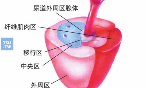 桂林三金胶囊-桂林三金眩晕宁片功能主治网 :分享桂林三金片的功能主治-桂林三金眩晕宁片多少钱一盒知识